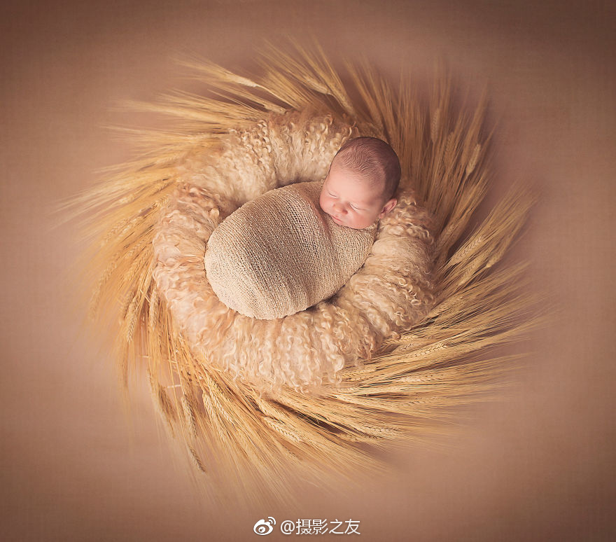 航海王启航oppo账号版下载